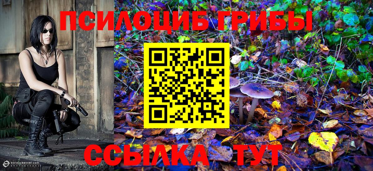 Тобольск  Псилоцибиновые грибы мухоморы  Вход с VPN 