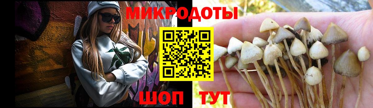 Галлюциногенные грибы прущие грибы Тобольск